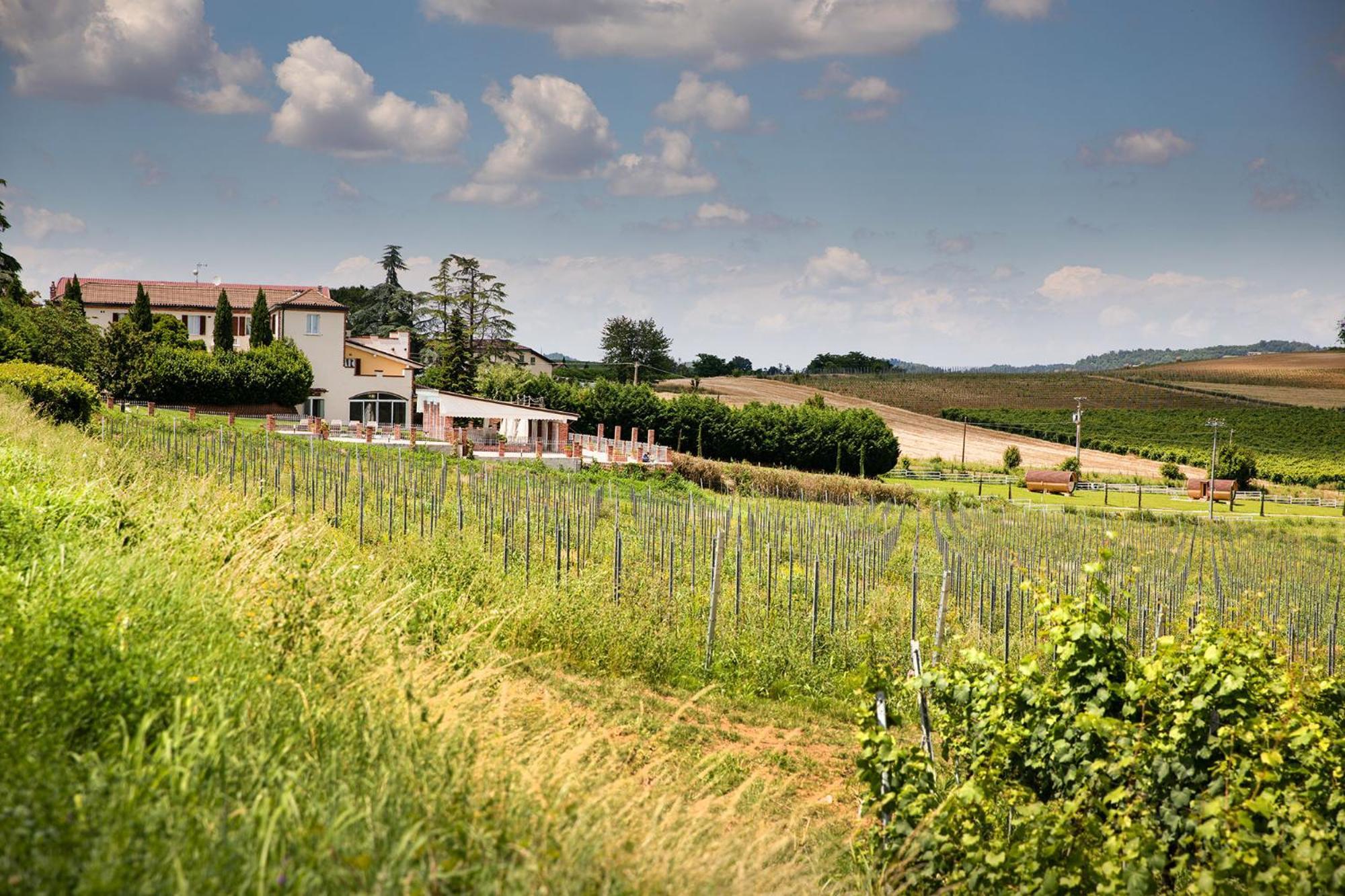 Belvedere Monferrato Relais & Wellness Hotel Vignale Monferrato Exterior photo