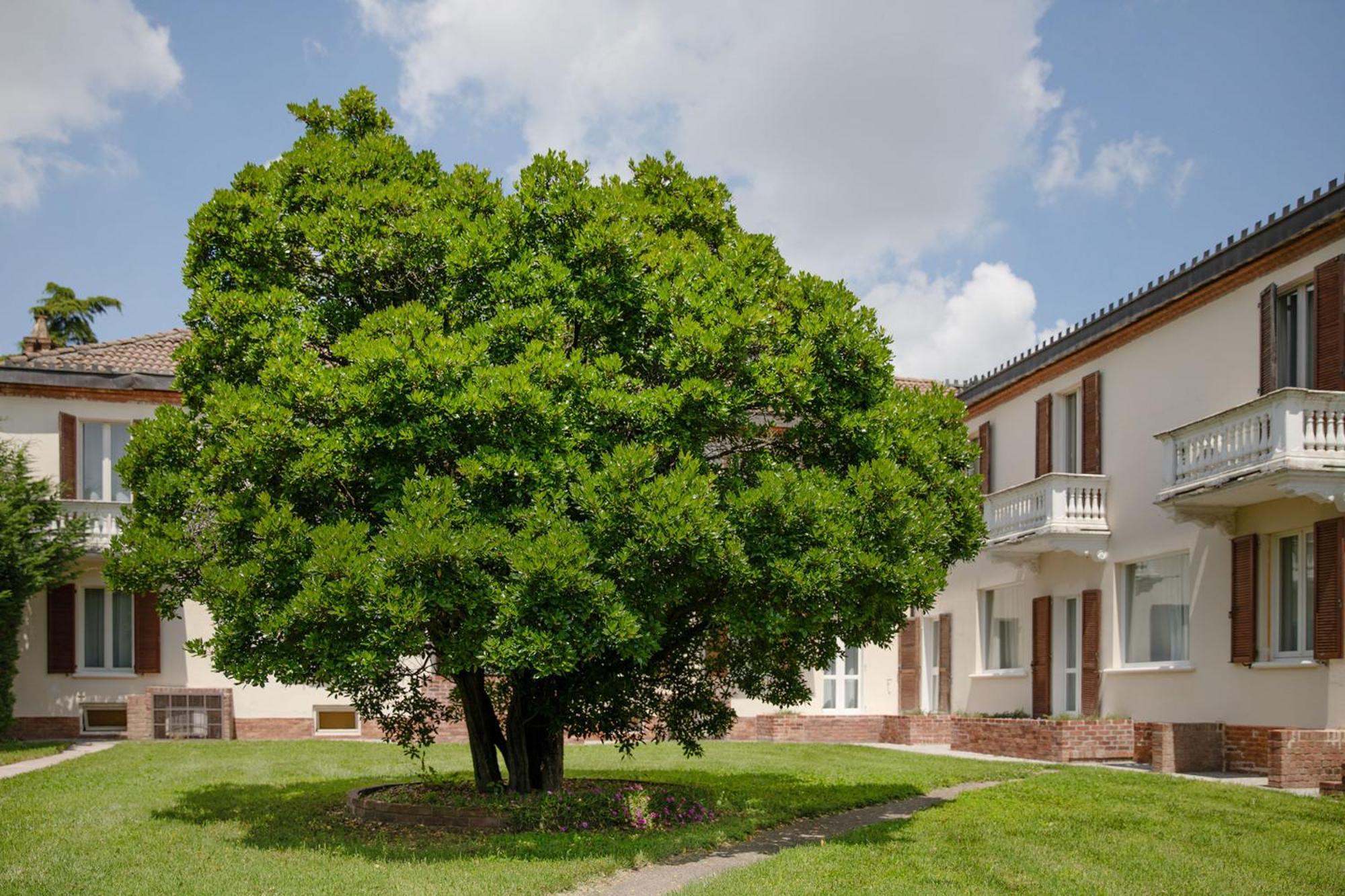 Belvedere Monferrato Relais & Wellness Hotel Vignale Monferrato Exterior photo